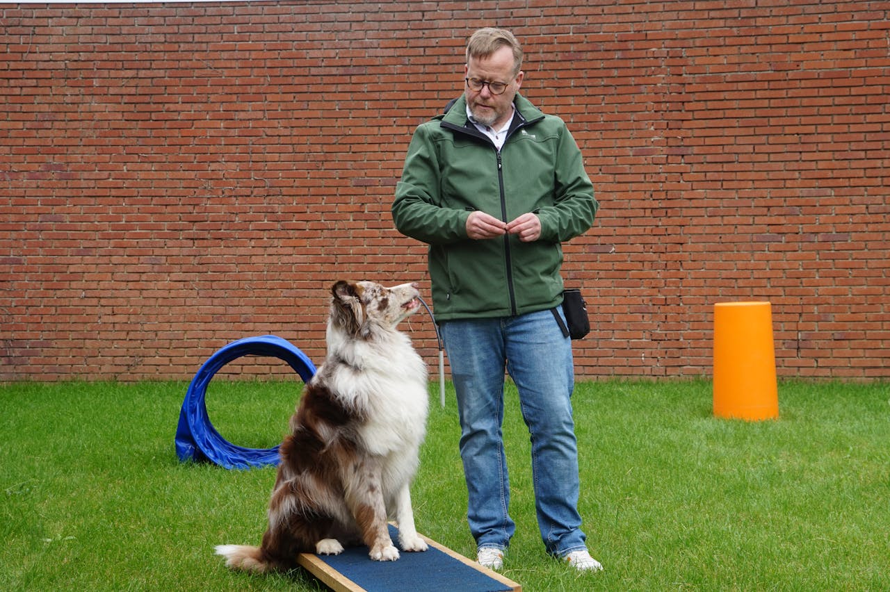 Dog Training Diploma